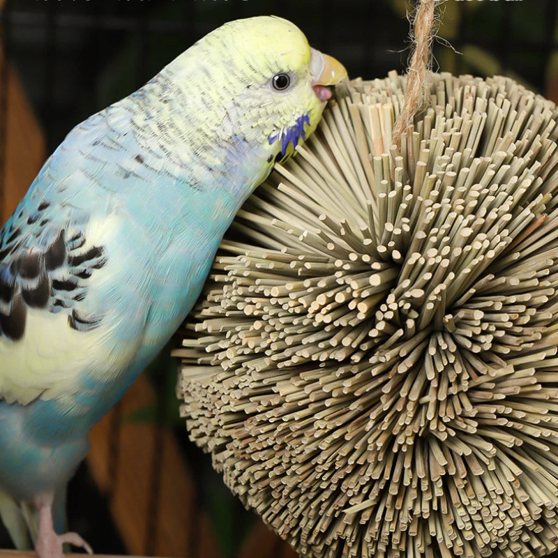 Hanging Chewing Toy, Shred Foraging