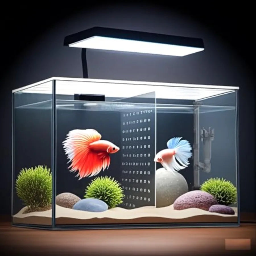 3 Gallon 12.6" L Fish Nano Glass Aquarium with Separator Plate for Betta Multi-Functional Square Fish Tank with Filter LED Ligh