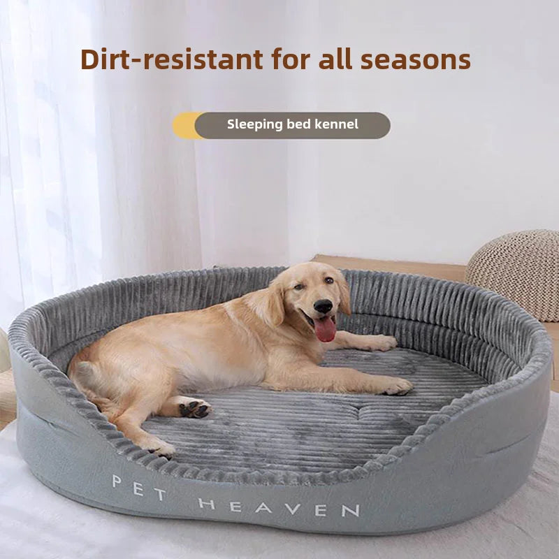 Orthopedic Dog Bed