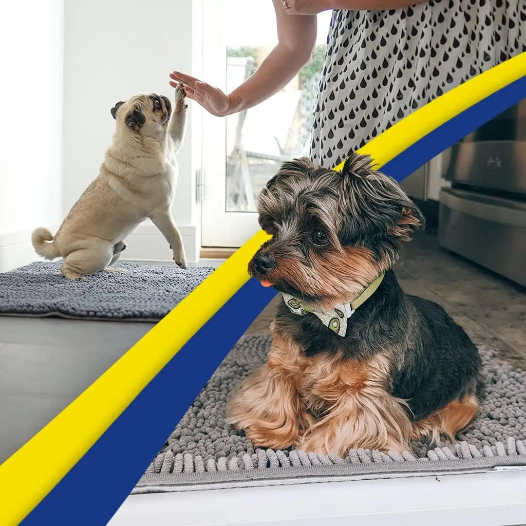 Super Absorbent Microfiber Door Mat