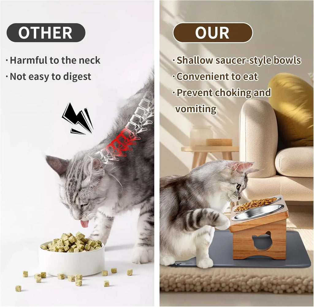 Tilted Elevated Pet Bowls with Silicone Mat