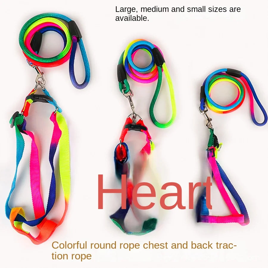 Leash + Harness Two-Piece Set