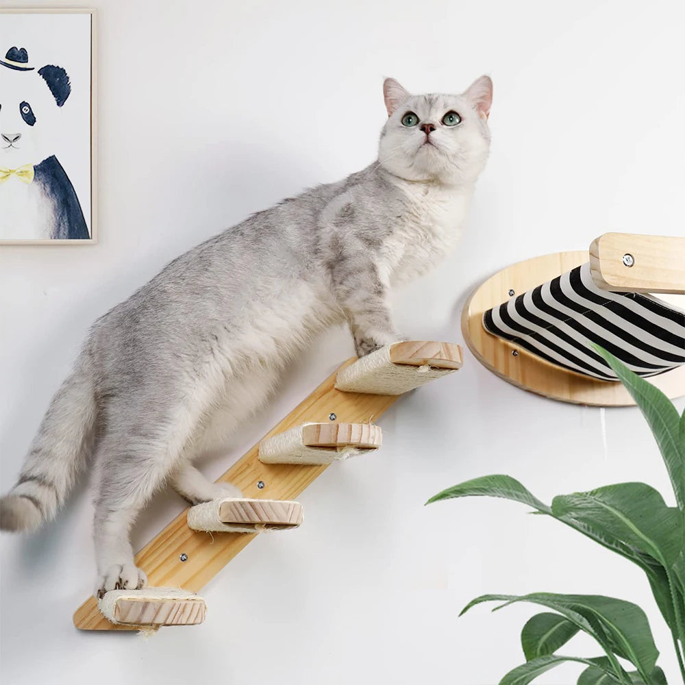 Wall Mounted Wooden Furniture Climbing Shelf Perch