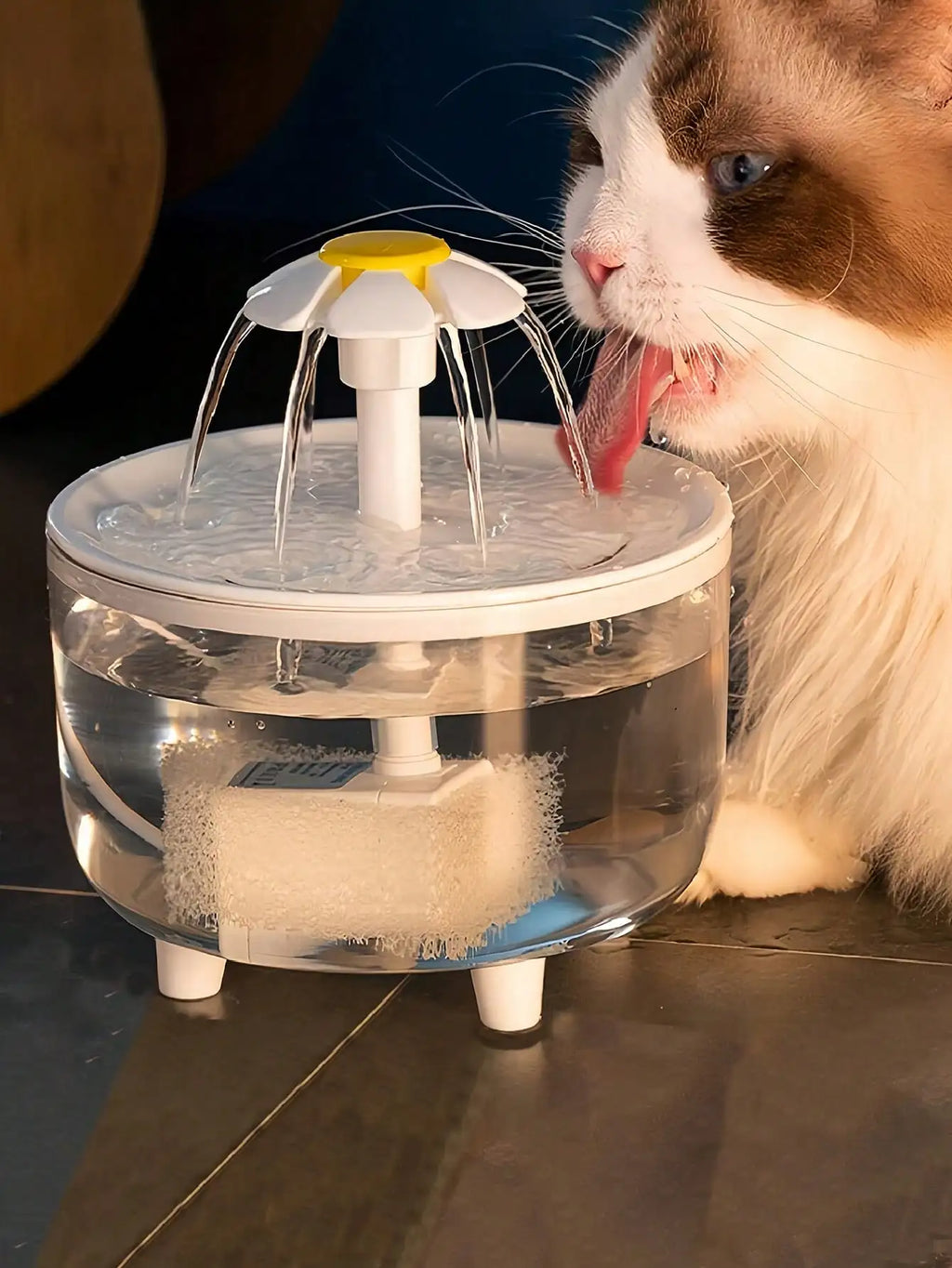 Water Fountain