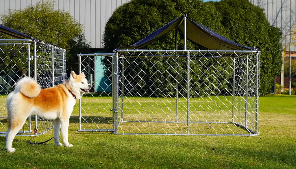 Heavy Duty Outdoor Dog Kennel