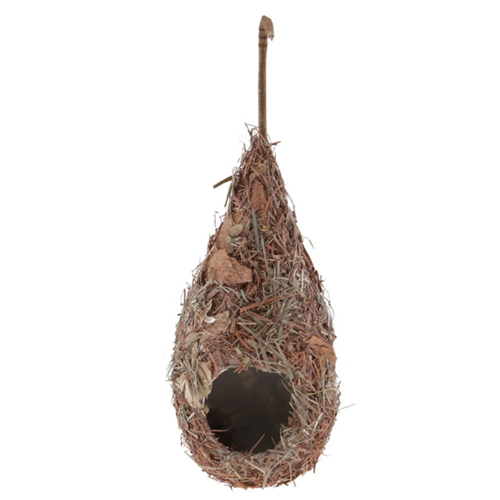 Natural Grass Hummingbird Bird Nest