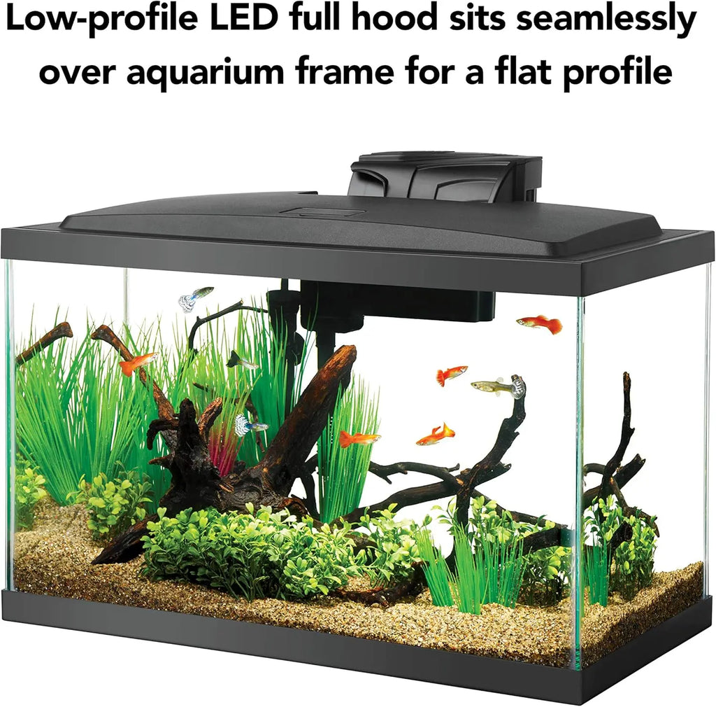 10 Gallon Fish Tank Starter Kit with LED Light, Filter, Heater & Accessories for Beginners