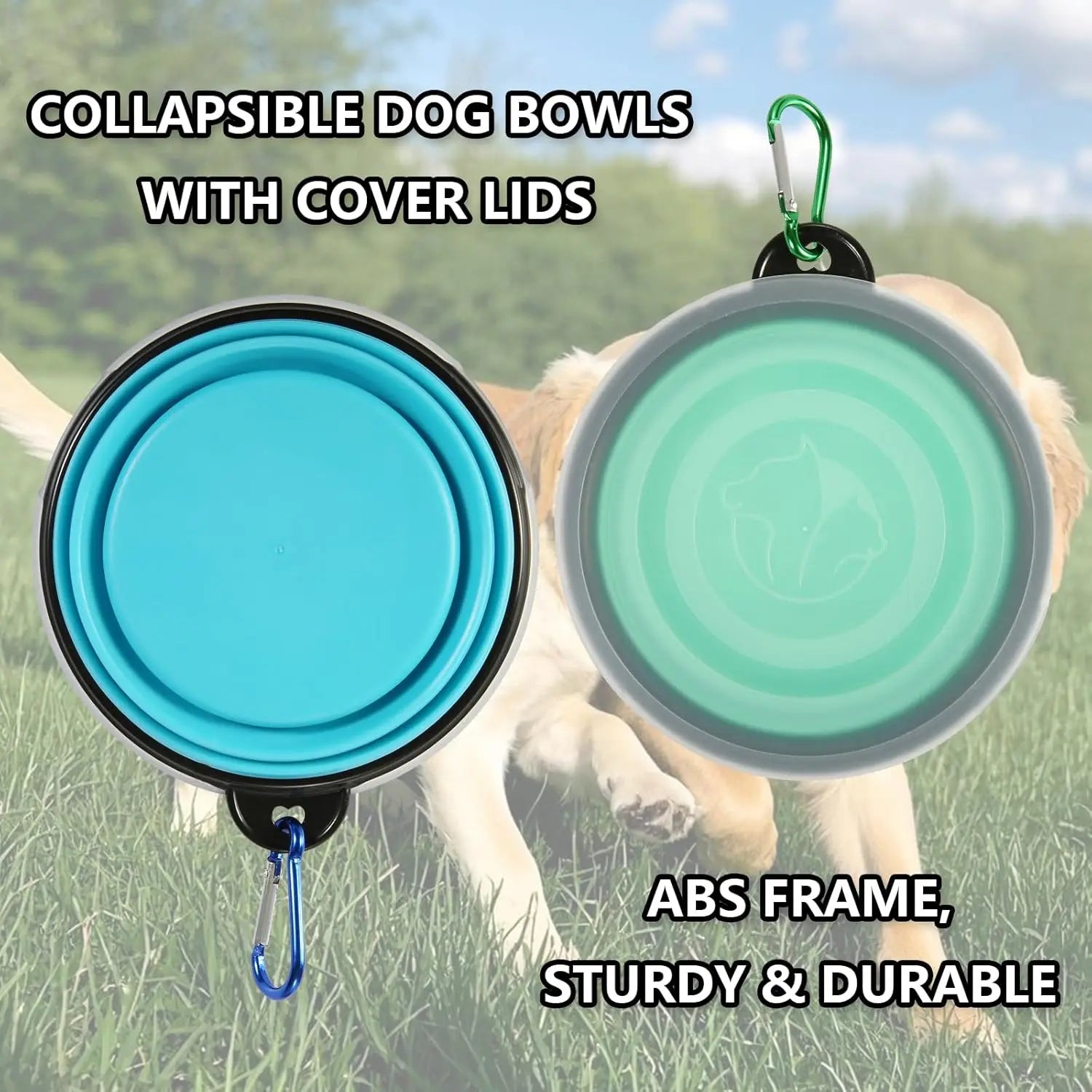 Collapsible Dog Bowl