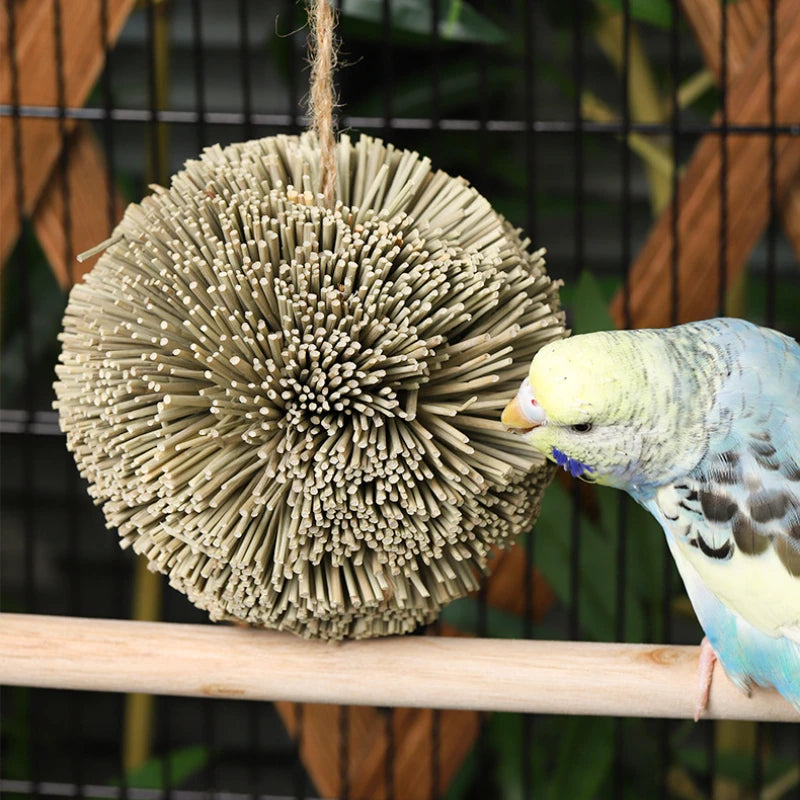 Hanging Chewing Toy, Shred Foraging