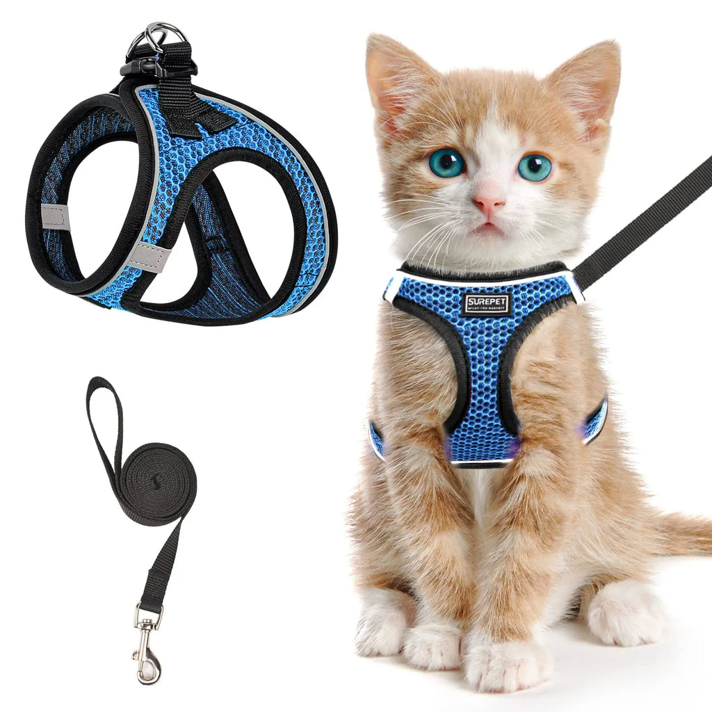 Cat Harness and Leash