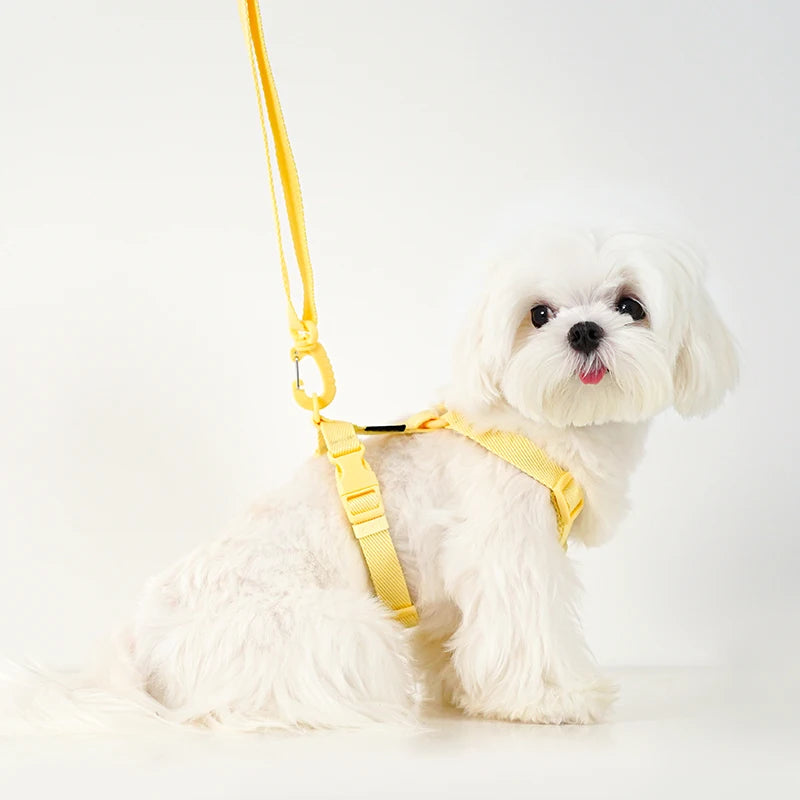 Reflective Adjustable Harness Collar Leash Set