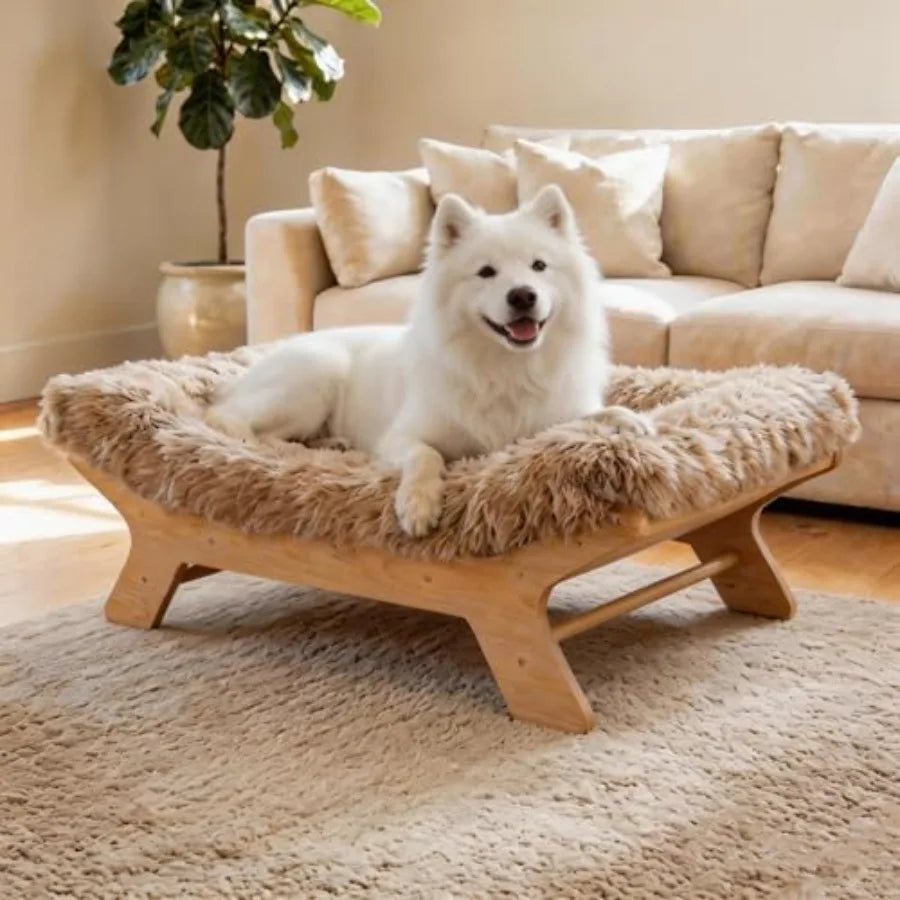 Elevated Dog Bed