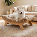 Elevated Dog Bed