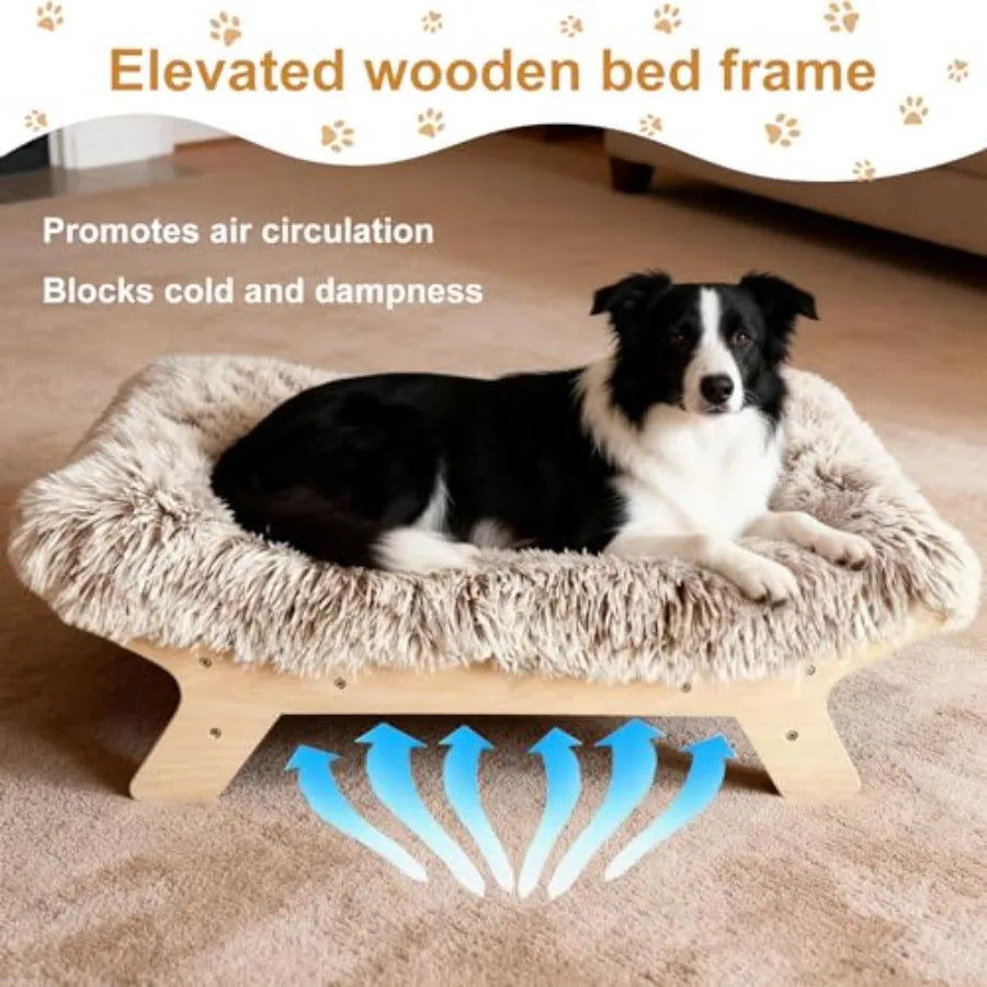 Elevated Dog Bed