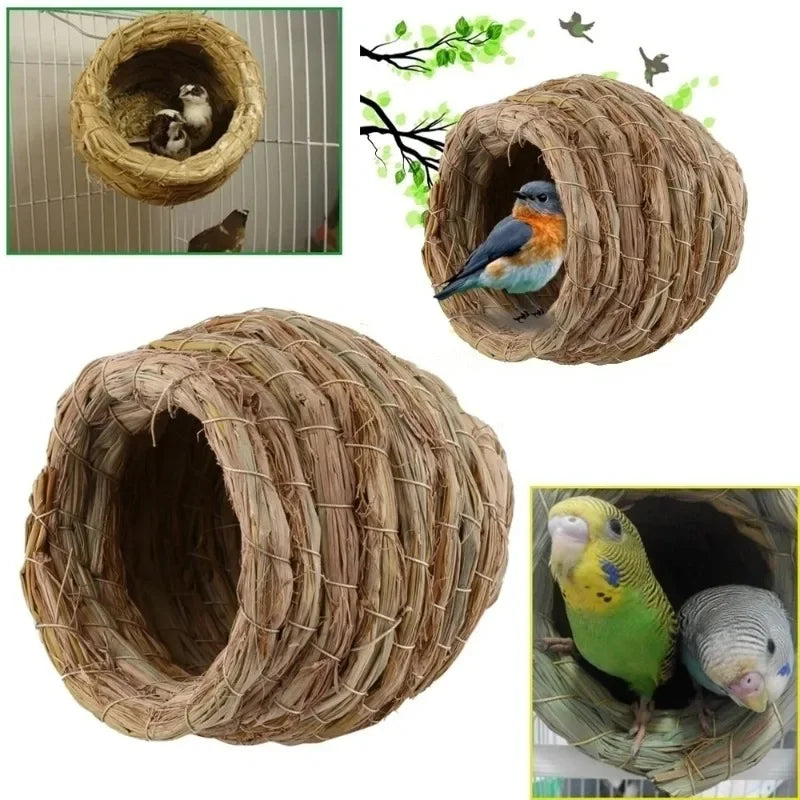 Hanging Hummingbird Birdhouse