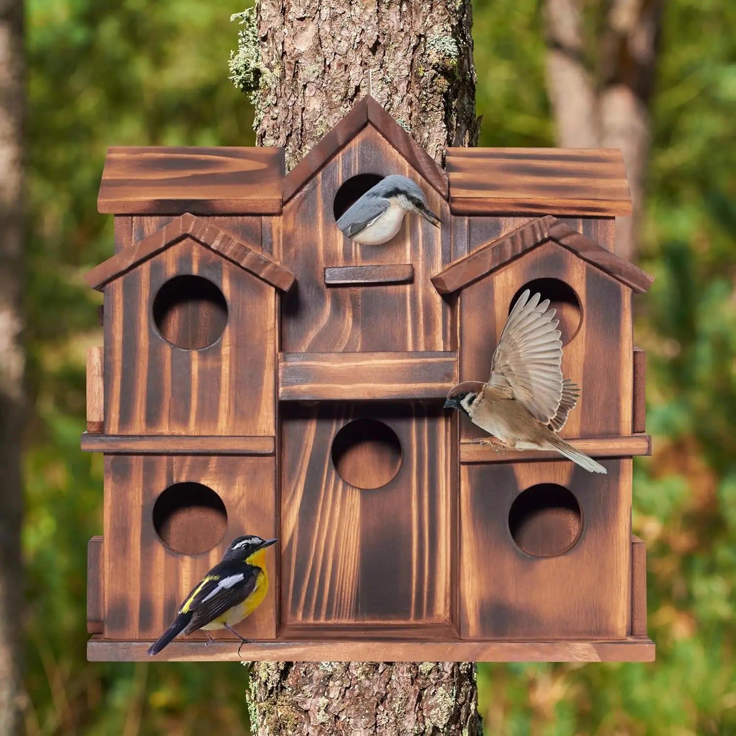 Outdoor Nesting Boxes