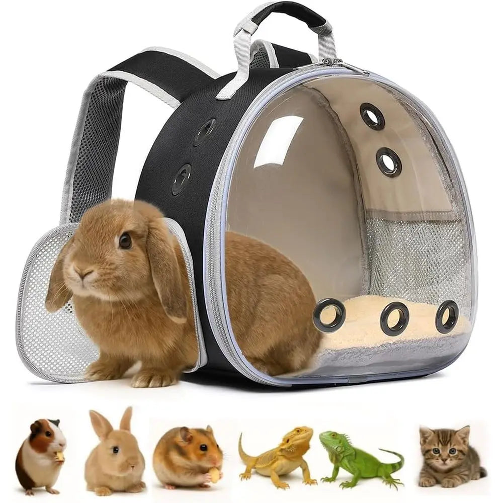 Small Animal Carrier