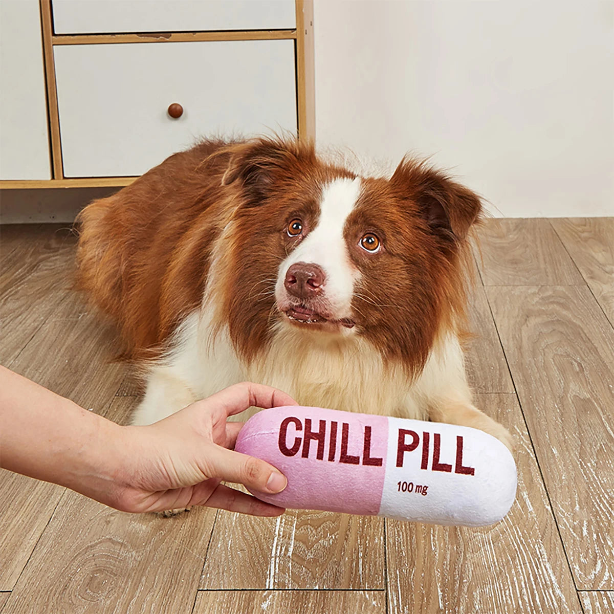 Interactive Plush Pill-Shaped Dog Toy with Squeaker