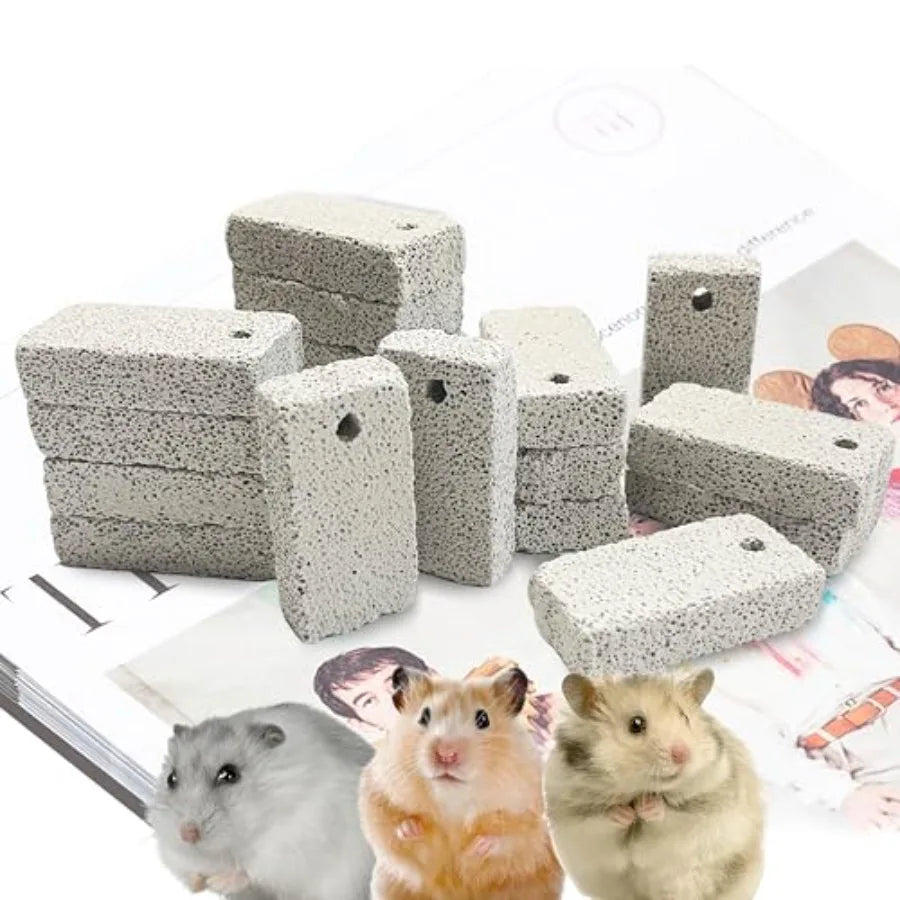 18 Pcs Small Animal Lava Bites Chews Mineral Calcium Stone