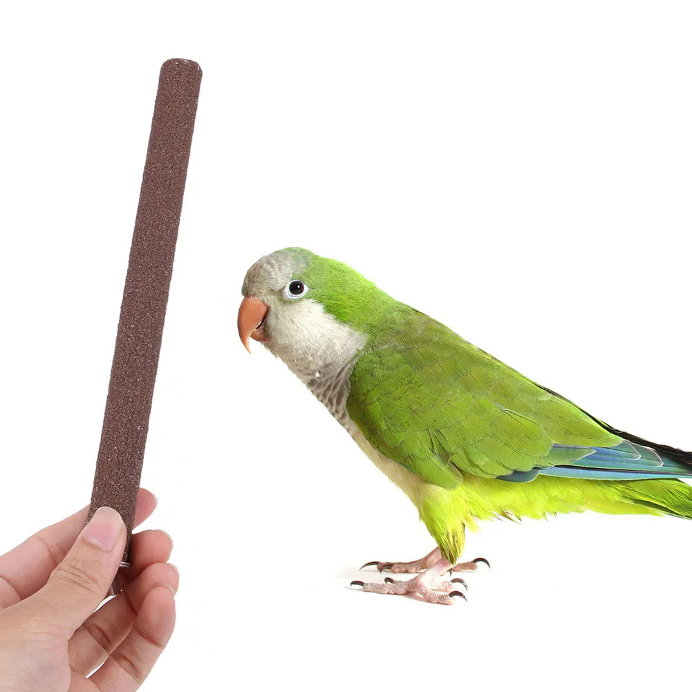 Bird Claw Beak Grinding Bar