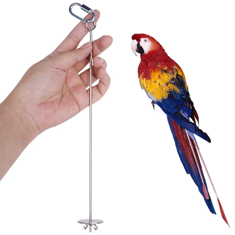 Stainless Steel Fruit Fork