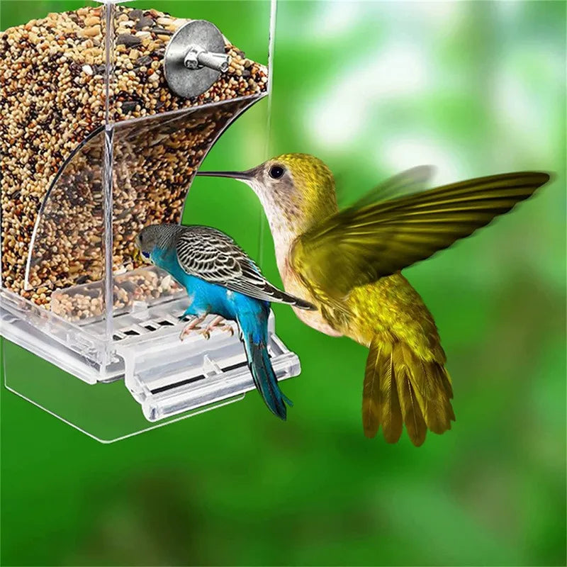 No Mess Automatic Parrot Feeder