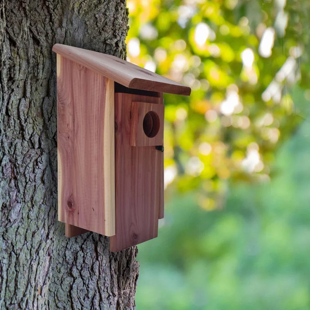 Red Cedar Bluebird House Outdoor Nesting Box