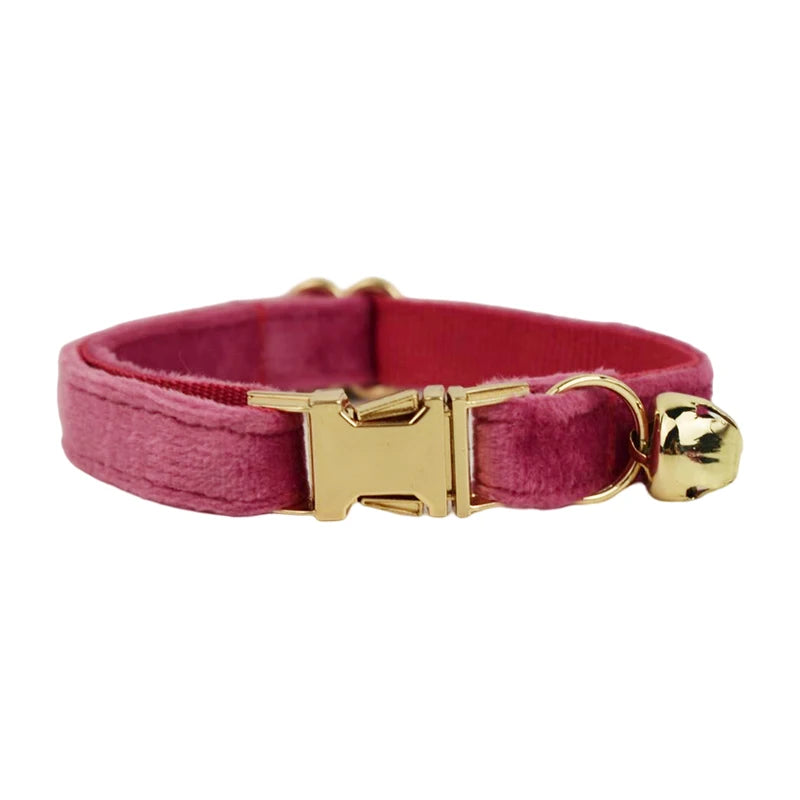 Cute Bowknot Collar Personalized