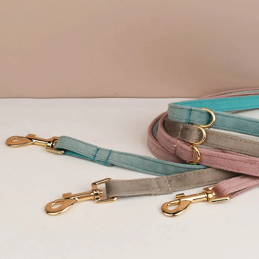 Cute Bowknot Collar Personalized