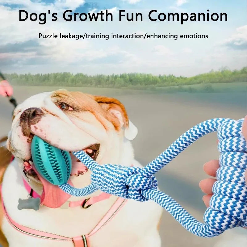 Durable Rope Dog Toy