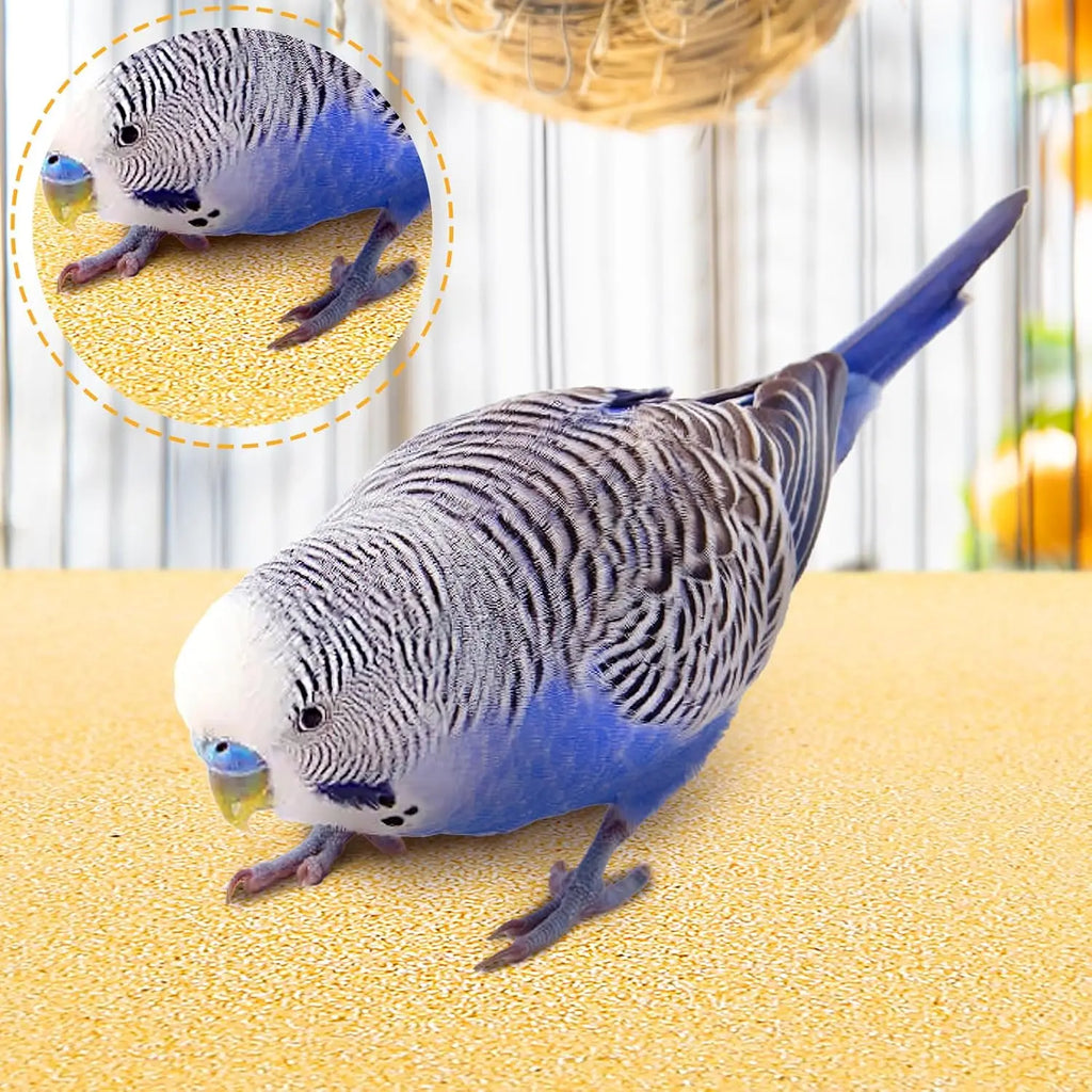 Gravel Liner Paper for Bird Cage,