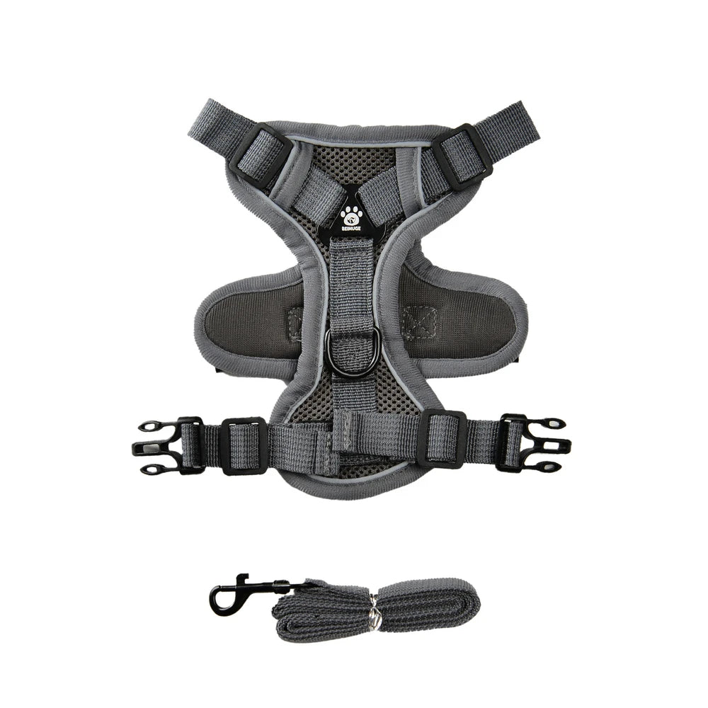 Adjustable Harness Leash