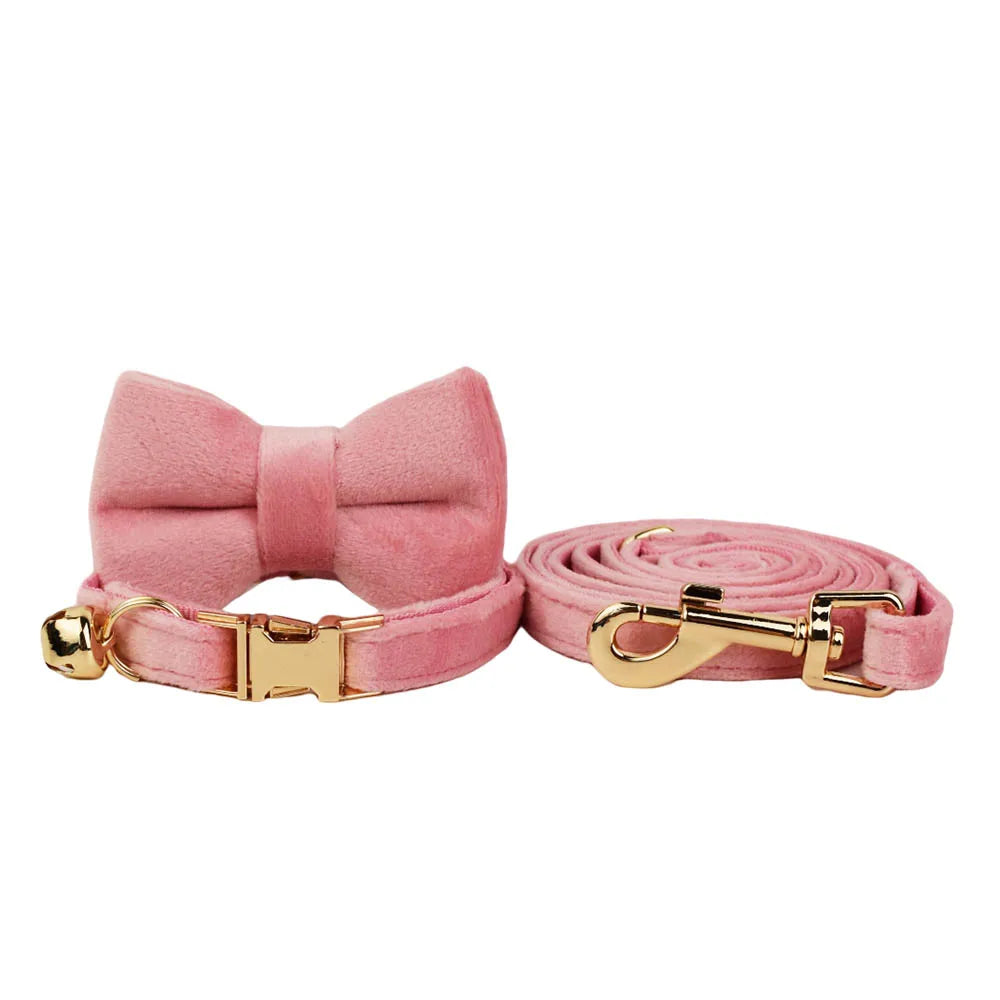 Cute Bowknot Collar Personalized