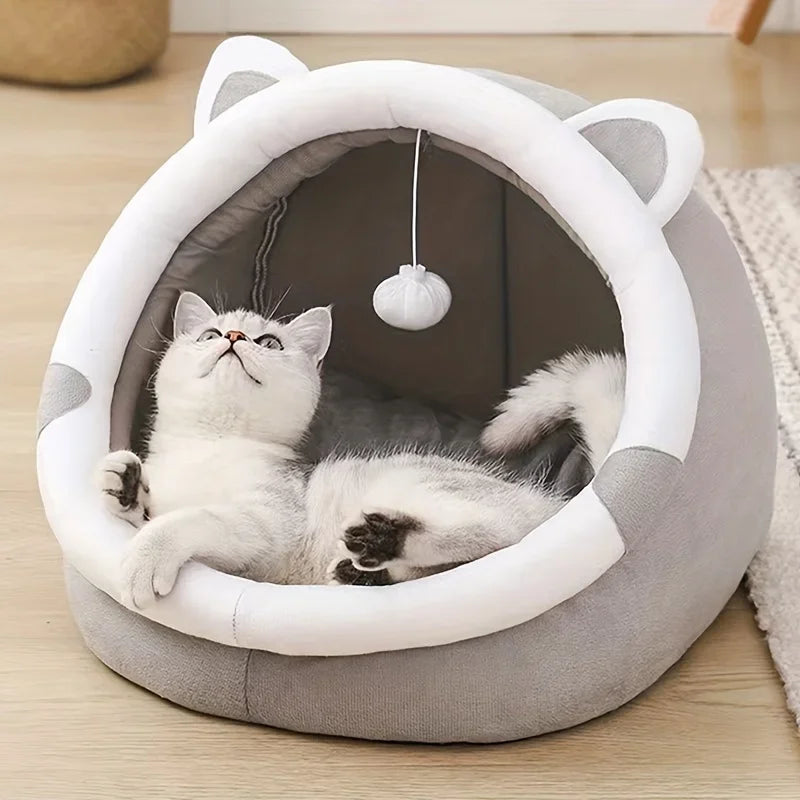 Pet House with Removable Pad