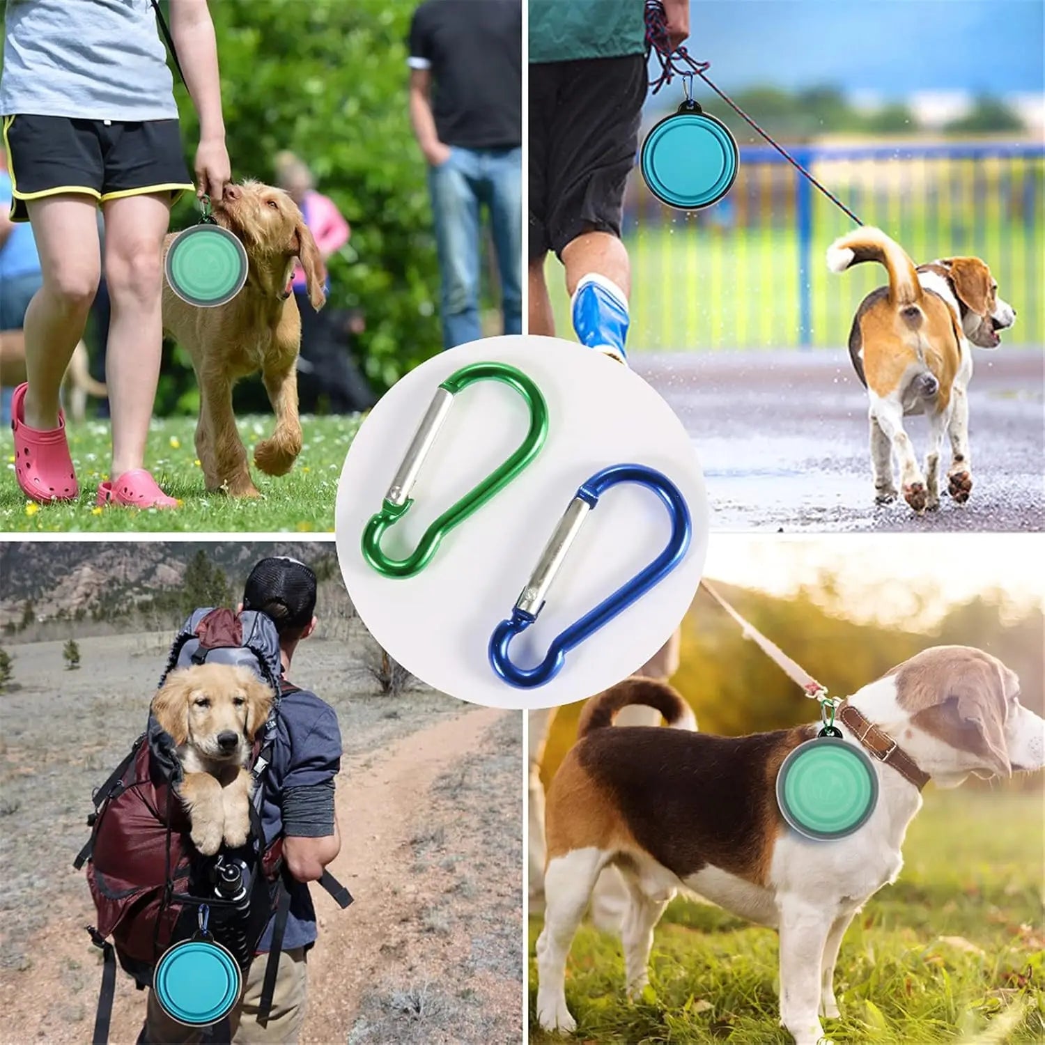 Collapsible Dog Bowl