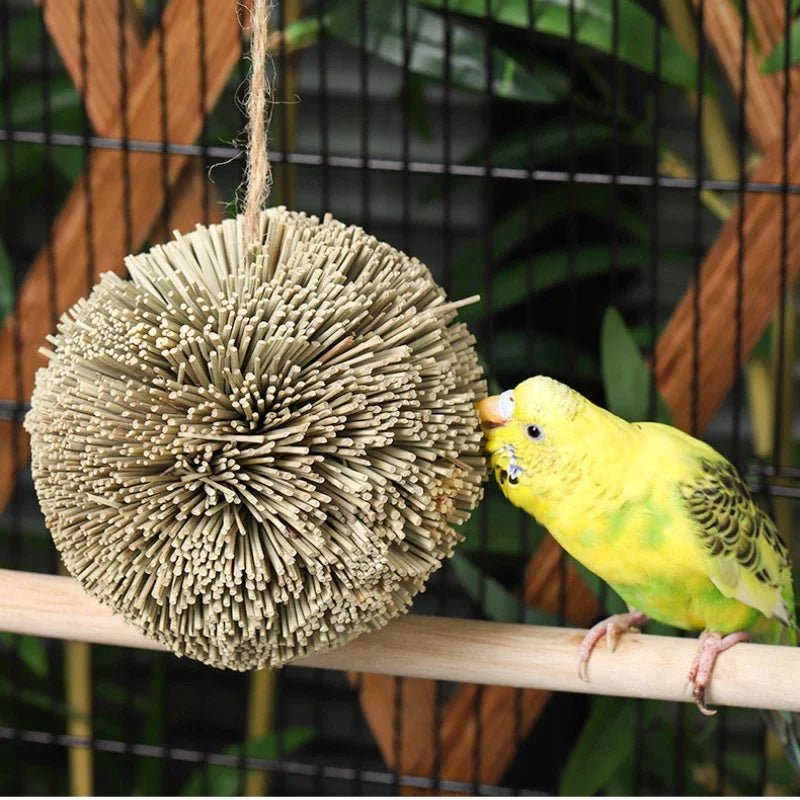 Hanging Chewing Toy, Shred Foraging