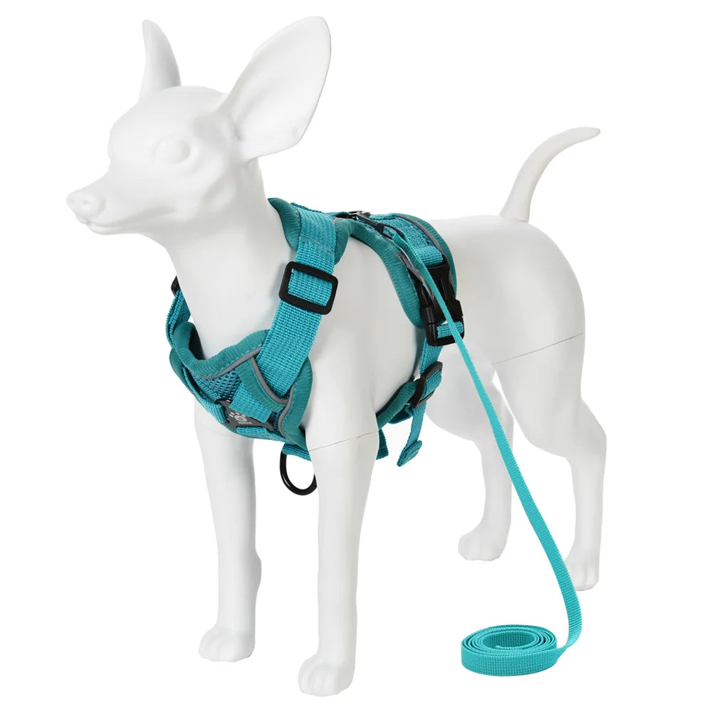 Adjustable Harness Leash