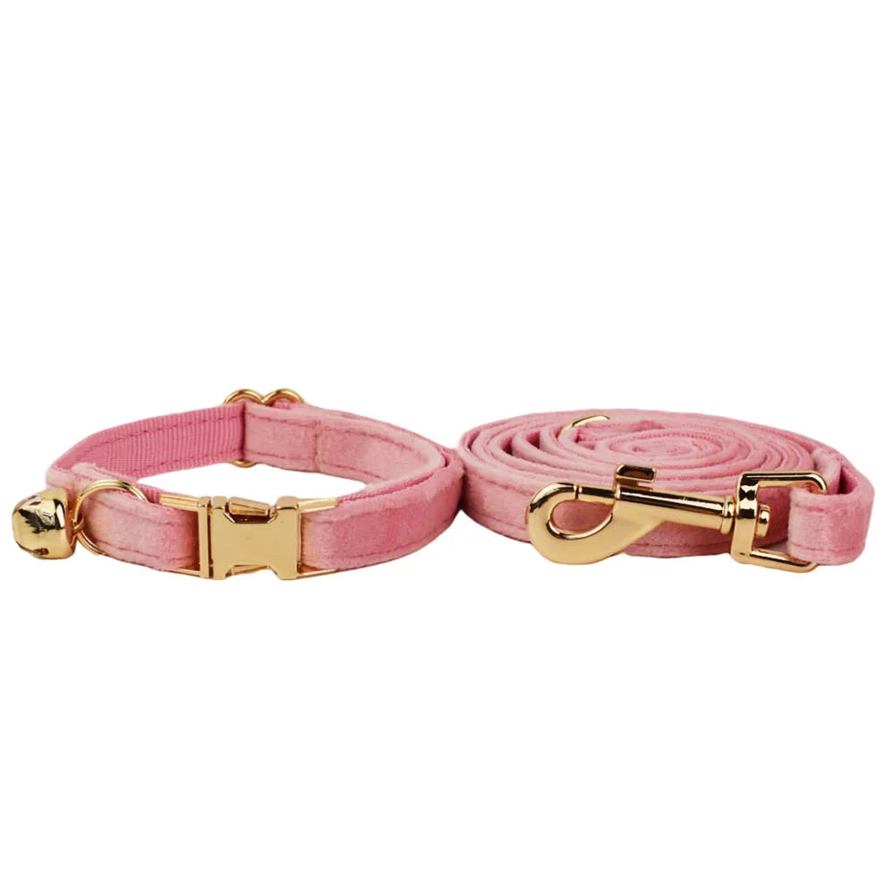 Cute Bowknot Collar Personalized