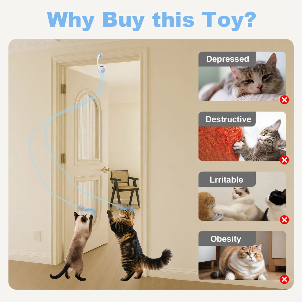 Electric Door Hanging Pet Toy