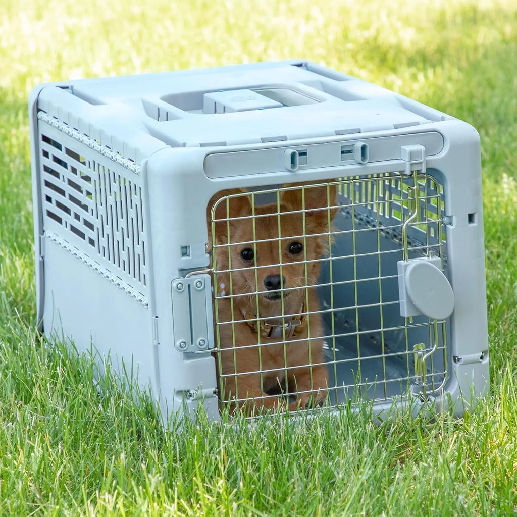 Collapsible Hard-Sided Pet Travel Carrier
