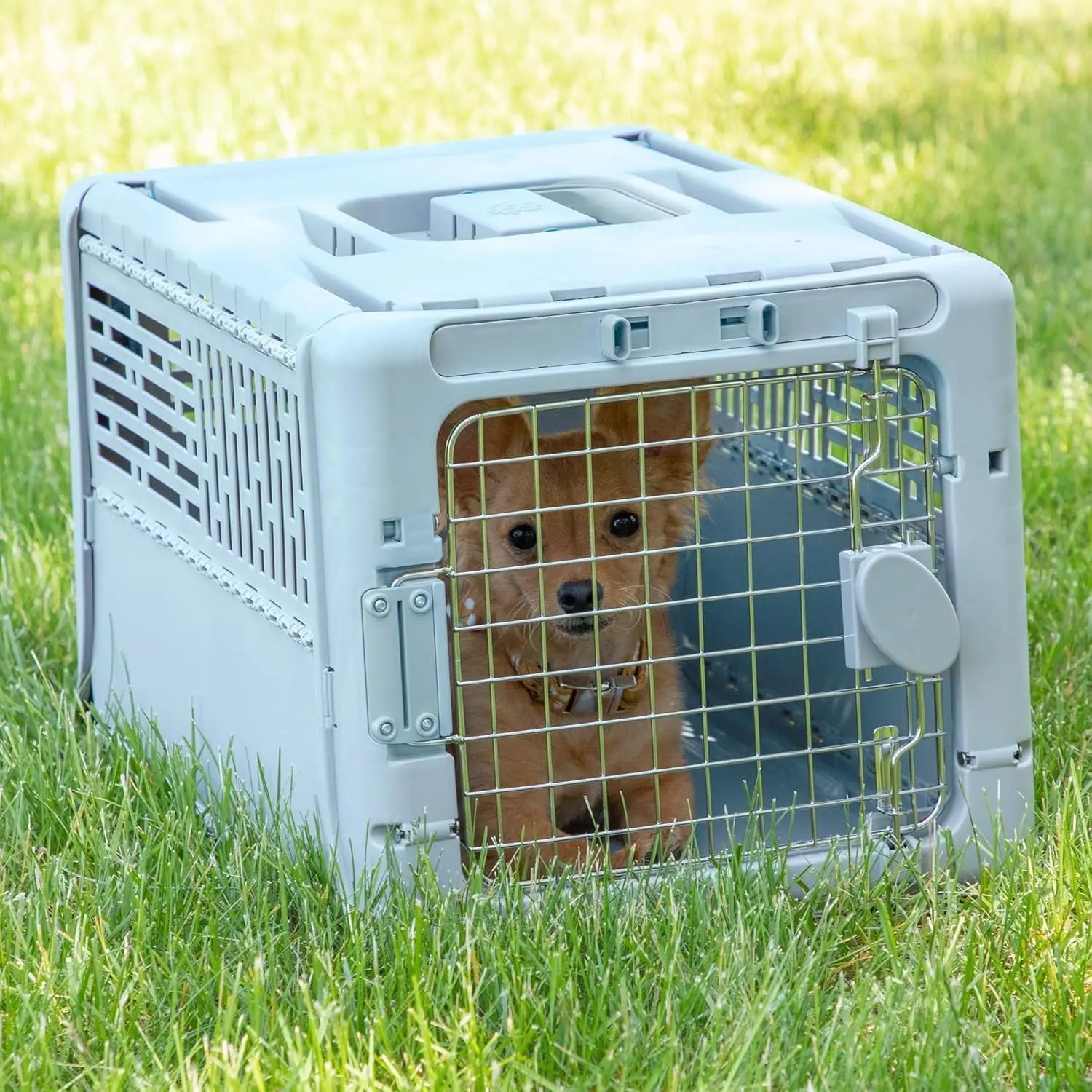 Collapsible Hard-Sided Pet Travel Carrier