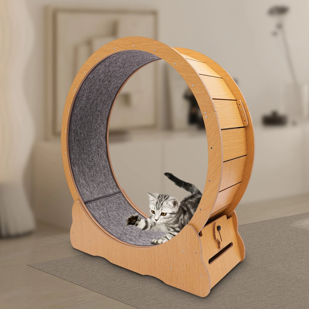 Wooden Cat Exercise Wheel Silent Treadmill