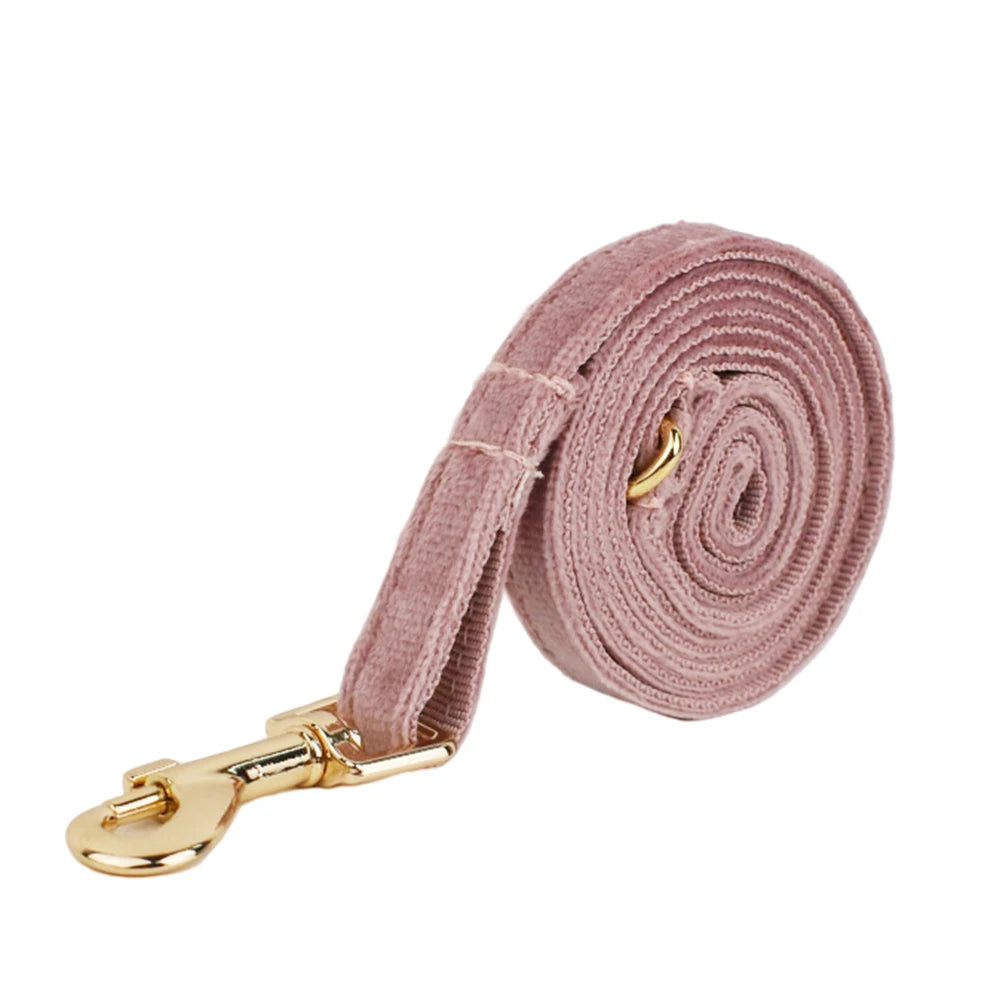 Cute Bowknot Collar Personalized