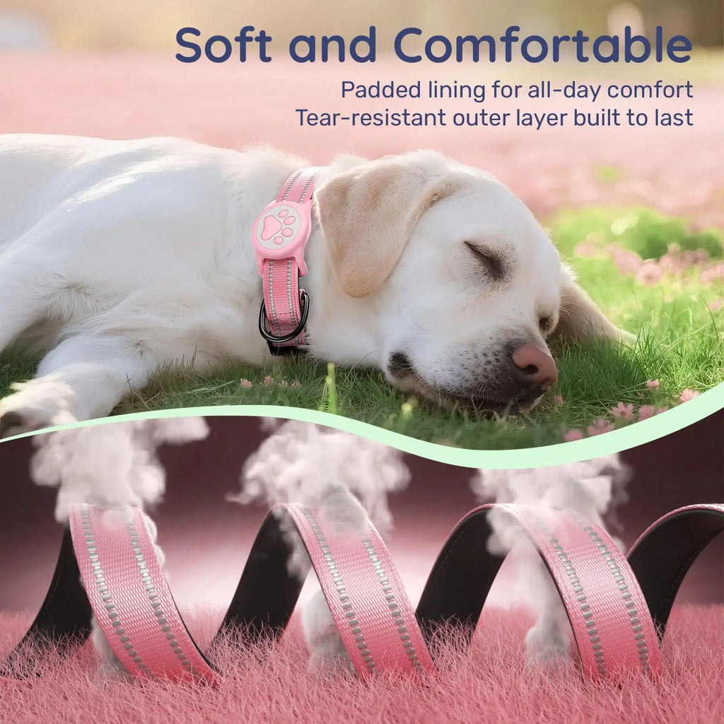 Reflective Ultra-Durable Nylon Padded with QR Code Buckle