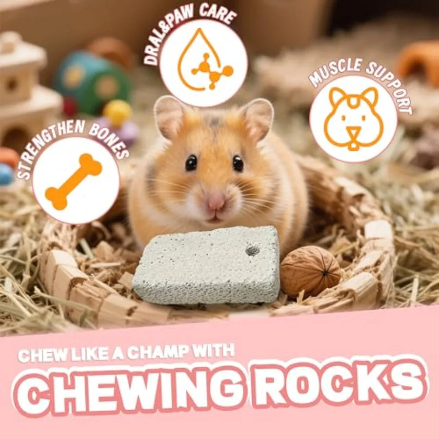 18 Pcs Small Animal Lava Bites Chews Mineral Calcium Stone