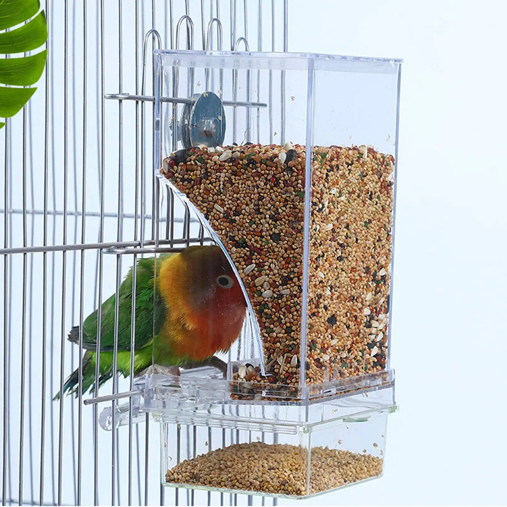 No Mess Automatic Parrot Feeder