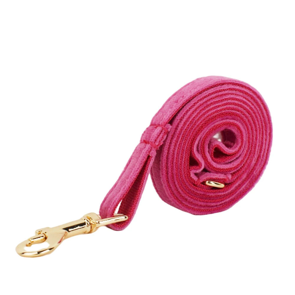 Cute Bowknot Collar Personalized