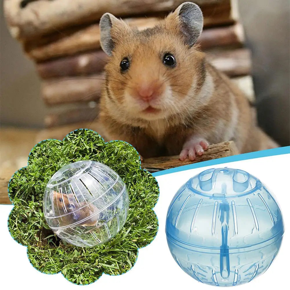 Transparent Acrylic Exercise Ball Escape Proof