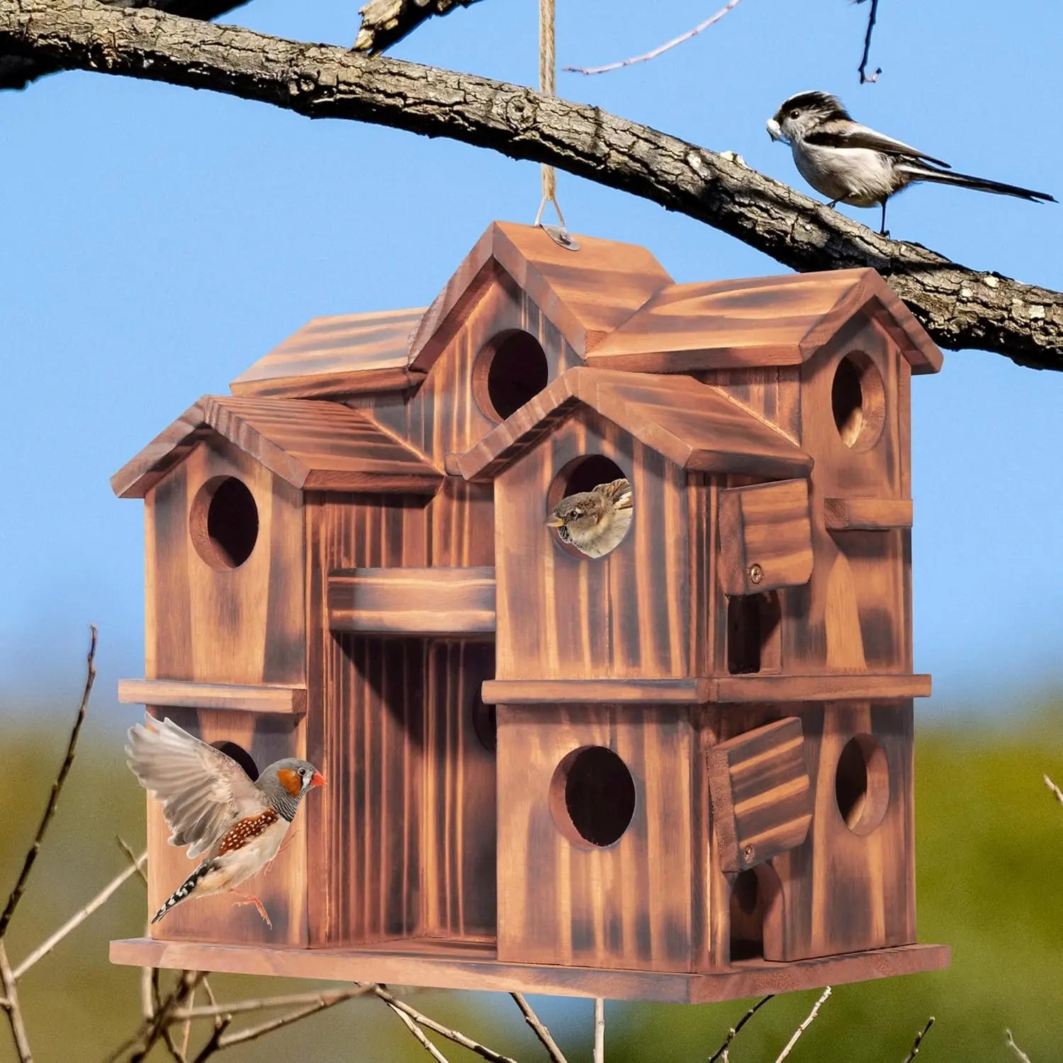 Outdoor Nesting Boxes