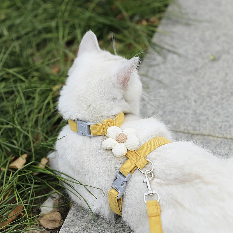 Harness and Leash Sets Adjustable